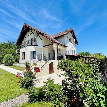 Hermesvilla Băile Felix Zewnętrze zdjęcie