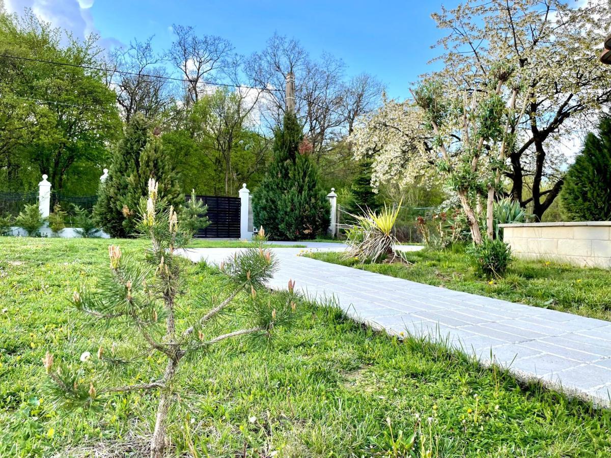 Hermesvilla Băile Felix Zewnętrze zdjęcie